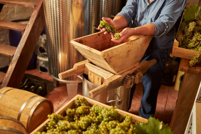 Winery Worker